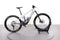 Orbea Wild M20