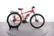 Focus Jarifa Ex 29