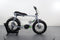 Ideal Ruff Cycles Elektro Lil' BUDDY CX