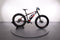 Fantic Fat Sport SE