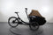 Triobike Mono E