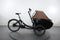 Triobike Mono E