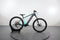 Trek Powerfly 4