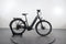 Ebike Das Original Trekking Pro