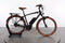 Riese & Müller Cruiser vario