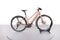 Riese & Müller UBN Seven Touring