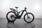 Bergamont E-Trailster 8.0