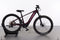 KTM Macina Team 272 Glorius