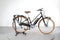 Electra Loft Go! 5i