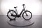 Batavus Finez E-go Power