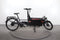 Riese & Müller Packster 60