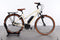 Riese & Müller Cruiser Mixte vario