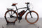 Riese & Müller Cruiser2 vario