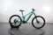 Haibike ALLMTN 2