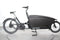 Urban Arrow Family Cargo