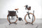 Riese & Müller Swing 2 City
