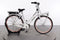 Gazelle MISS GRACE C7 HMB