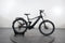 Bulls ICONIC EVO TR 1 750