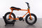 Ruff Cycles Lil Buddy