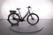 Batavus Dinsdag E-go Sport