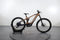 Haibike ALLMTN CF 8