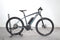 Grecos Wild E MTB