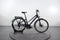 Pegasus Premio SL Disc 24 Anniversary
