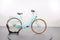 Pegasus Bici Italia 7