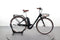 Pegasus Passion E7R