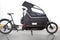 Douze Cycles V2 800 Traveller