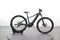 Giant FATHOM E+ 2 29ER