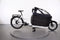 Riese & Müller Packster 70 vario