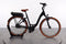 Riese & Müller Swing Vario