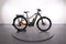 Haibike TREKKING 10
