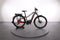 Haibike TREKKING 9