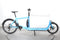 Bullitt Bluebird