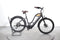 Woodee Bikes Coastliner Swan