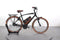 Riese & Müller Cruiser Vario