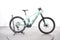 Orbea Wild FS H10