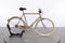 Gazelle Van Stael V7