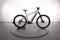 Corratec E-Power X-Vert Pro
