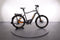 Haibike TREKKING 10