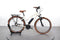 Riese & Müller Cruiser Mixte Vario
