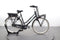 Gazelle Miss Grace C7+