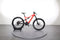 Specialized Turbo Levo