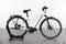 Riese & Müller Roadster Mixte Vario