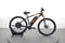 Prophete Entdecker E-Bike 20.EEM.20