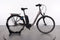 Raleigh Kingston 8 XXL