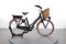 Gazelle MISS GRACE C7+ HMB