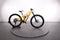 Trek Fuel EXE 9.9XX1